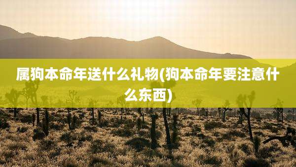 属狗本命年送什么礼物(狗本命年要注意什么东西)