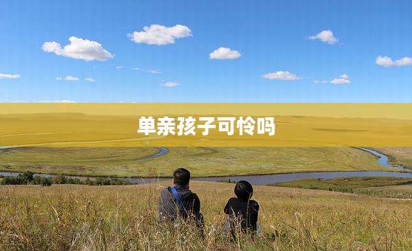 单亲孩子可怜吗
