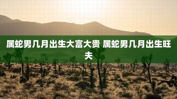 属蛇男几月出生大富大贵 属蛇男几月出生旺夫