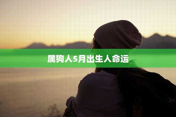 属狗人5月出生人命运