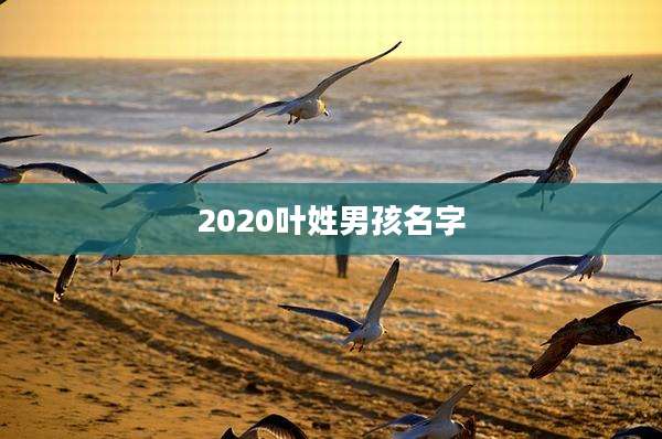 2020叶姓男孩名字
