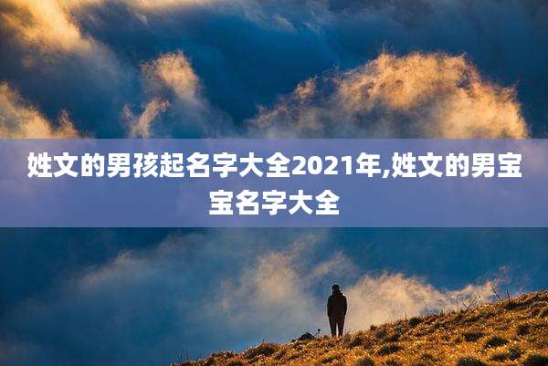 姓文的男孩起名字大全2021年,姓文的男宝宝名字大全