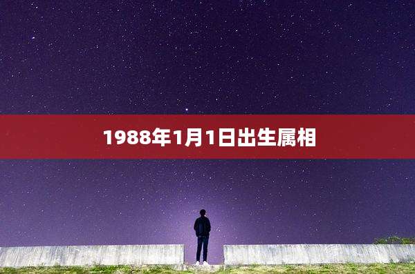 1988年1月1日出生属相