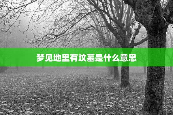 梦见地里有坟墓是什么意思