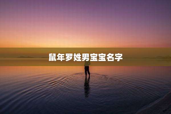 鼠年罗姓男宝宝名字