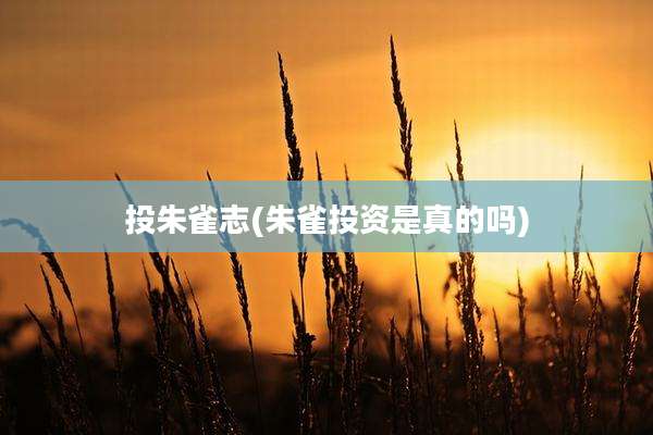 投朱雀志(朱雀投资是真的吗)