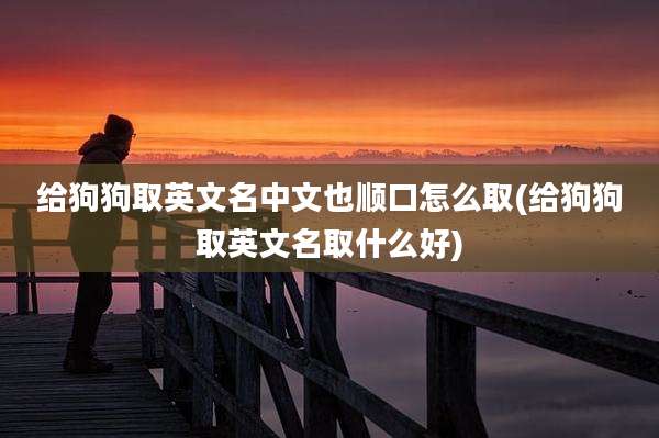 给狗狗取英文名中文也顺口怎么取(给狗狗取英文名取什么好)