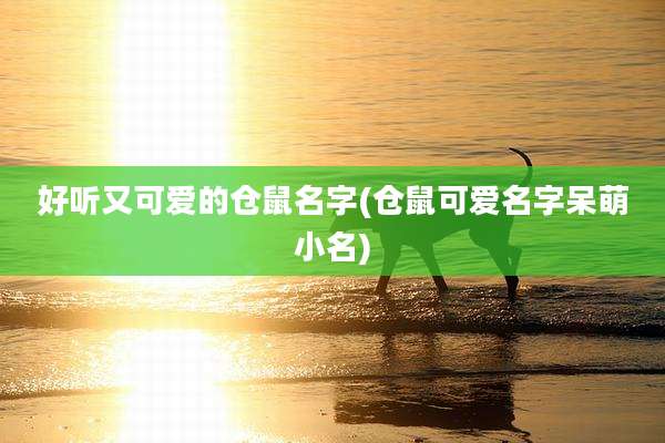 好听又可爱的仓鼠名字(仓鼠可爱名字呆萌小名)