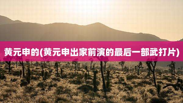 黄元申的(黄元申出家前演的最后一部武打片)