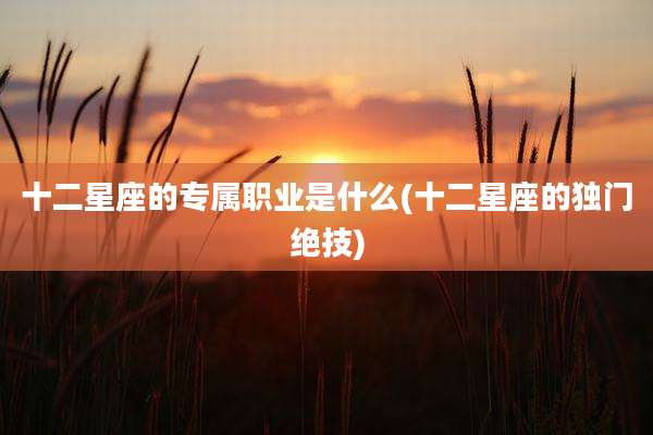 十二星座的专属职业是什么(十二星座的独门绝技)