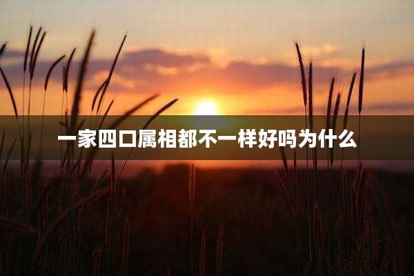 一家四口属相都不一样好吗为什么