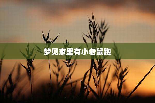 梦见家里有小老鼠跑