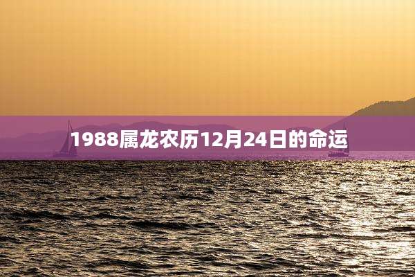 1988属龙农历12月24日的命运