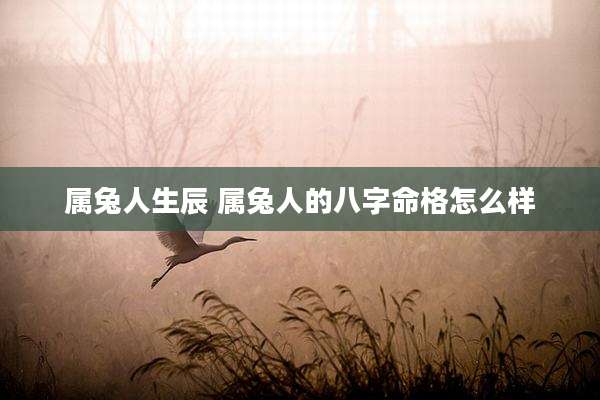 属兔人生辰 属兔人的八字命格怎么样