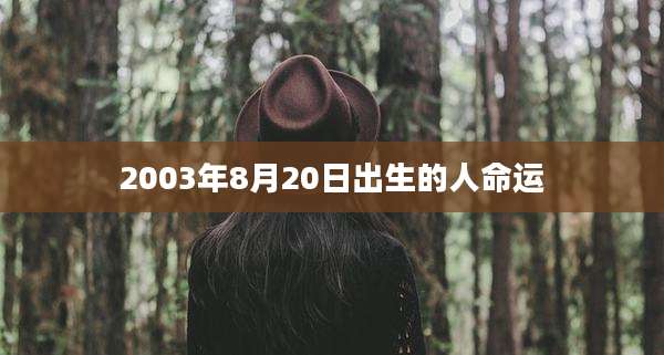 2003年8月20日出生的人命运