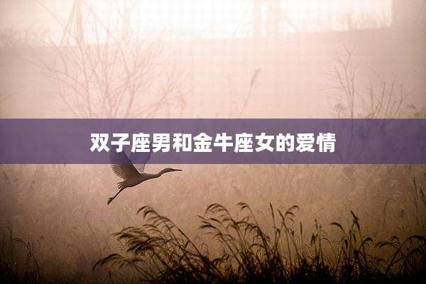 双子座男和金牛座女的爱情