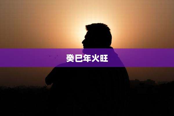 癸巳年火旺