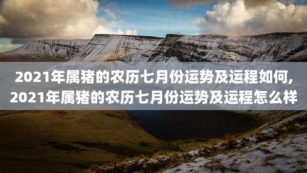 2021年属猪的农历七月份运势及运程如何,2021年属猪的农历七月份运势及运程怎么样