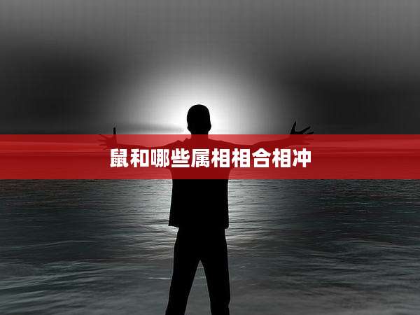 鼠和哪些属相相合相冲