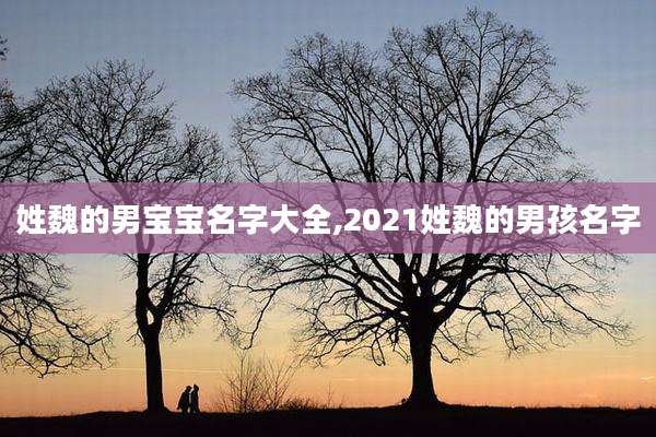 姓魏的男宝宝名字大全,2021姓魏的男孩名字