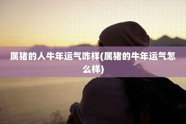 属猪的人牛年运气咋样(属猪的牛年运气怎么样)