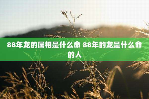 88年龙的属相是什么命 88年的龙是什么命的人