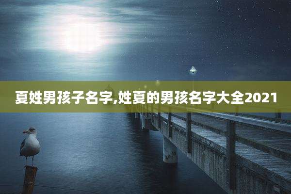 夏姓男孩子名字,姓夏的男孩名字大全2021