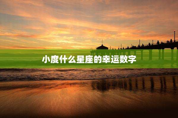 小度什么星座的幸运数字