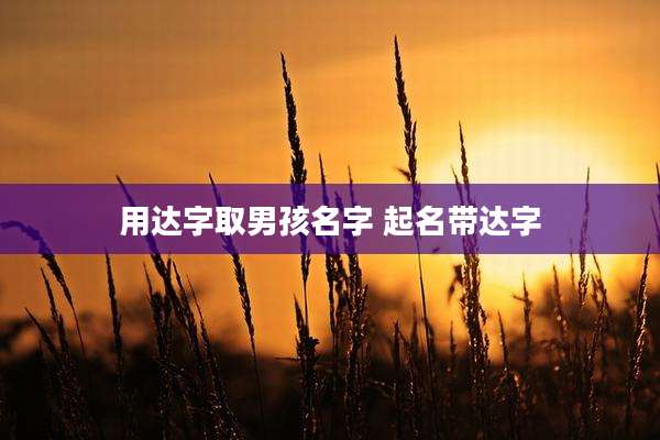 用达字取男孩名字 起名带达字