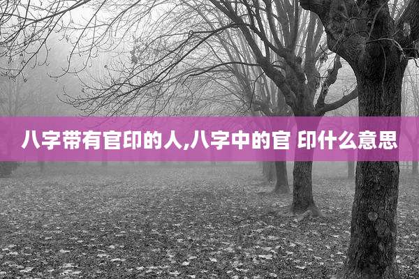 八字带有官印的人,八字中的官 印什么意思