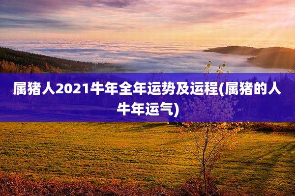 属猪人2021牛年全年运势及运程(属猪的人牛年运气)