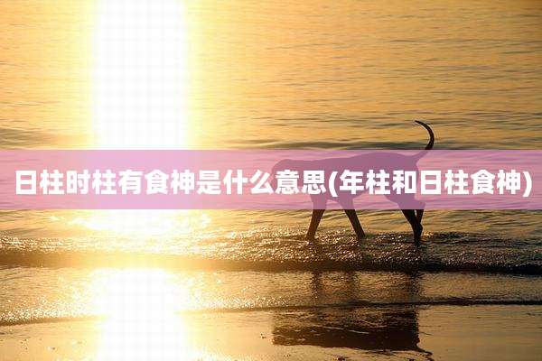 日柱时柱有食神是什么意思(年柱和日柱食神)
