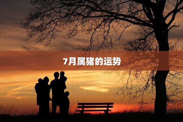 7月属猪的运势