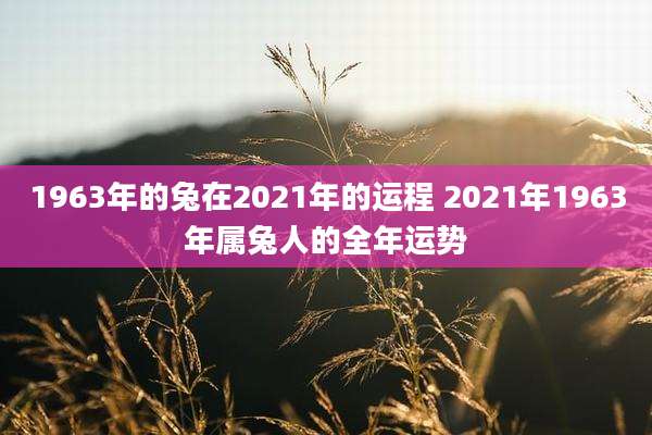 1963年的兔在2021年的运程 2021年1963年属兔人的全年运势