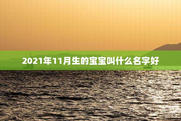 2021年11月生的宝宝叫什么名字好