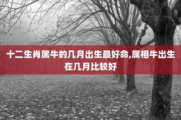 十二生肖属牛的几月出生最好命,属相牛出生在几月比较好