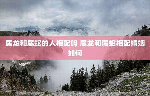 属龙和属蛇的人相配吗 属龙和属蛇相配婚姻如何