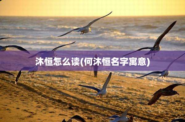 沐恒怎么读(何沐恒名字寓意)