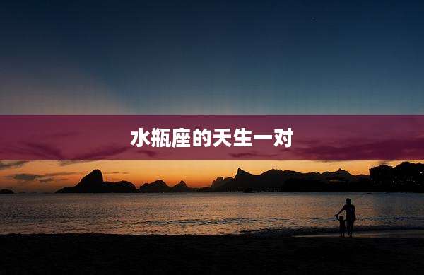 水瓶座的天生一对