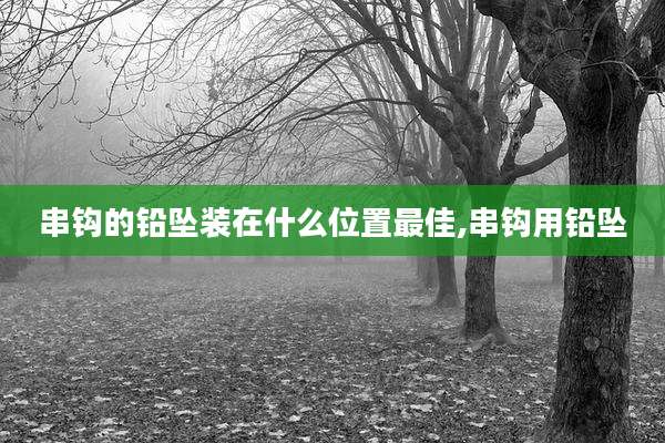 串钩的铅坠装在什么位置最佳,串钩用铅坠