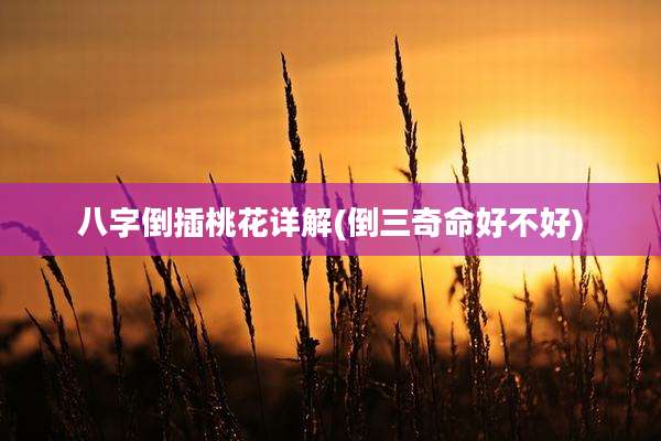 八字倒插桃花详解(倒三奇命好不好)