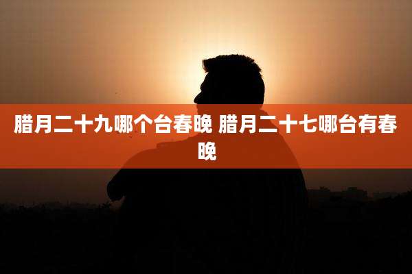 腊月二十九哪个台春晚 腊月二十七哪台有春晚