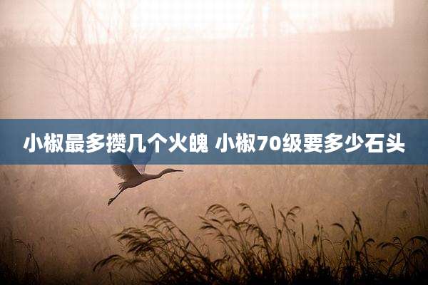 小椒最多攒几个火魄 小椒70级要多少石头