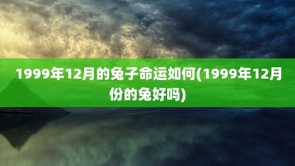 1999年12月的兔子命运如何(1999年12月份的兔好吗)