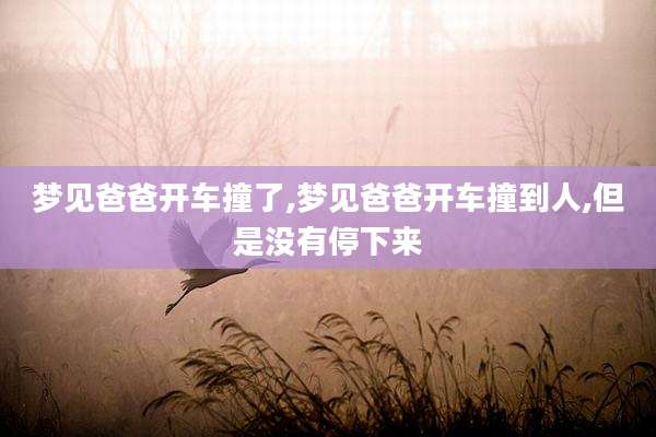 梦见爸爸开车撞了,梦见爸爸开车撞到人,但是没有停下来