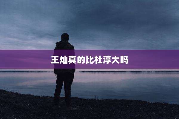 王灿真的比杜淳大吗