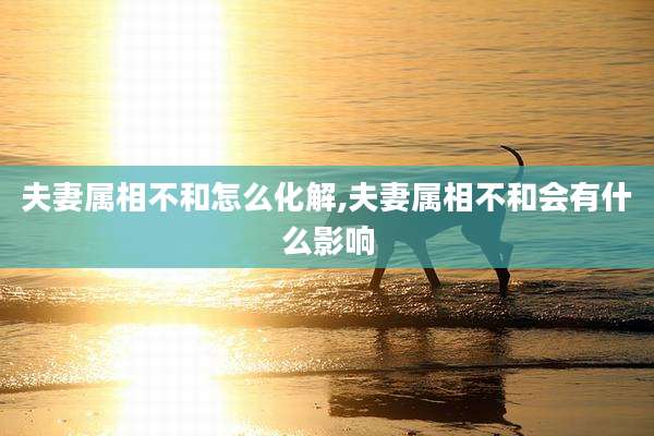 夫妻属相不和怎么化解,夫妻属相不和会有什么影响