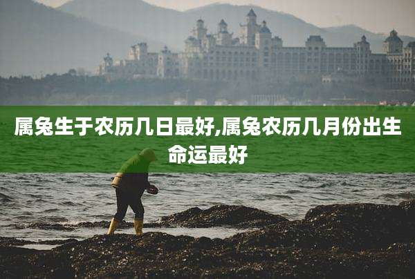 属兔生于农历几日最好,属兔农历几月份出生命运最好