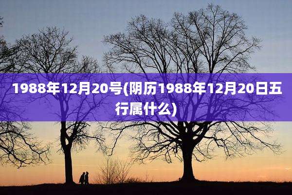 1988年12月20号(阴历1988年12月20日五行属什么)