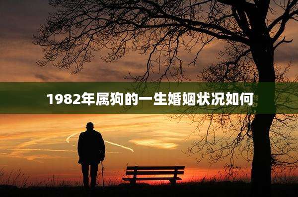 1982年属狗的一生婚姻状况如何